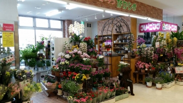 「ガーデンなかじま」　（岩手県一関市）の花屋店舗写真1