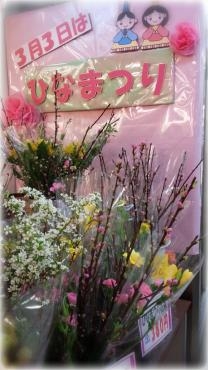 ひなまつり｜「ガーデンなかじま」　（岩手県一関市の花キューピット加盟店 花屋）のブログ