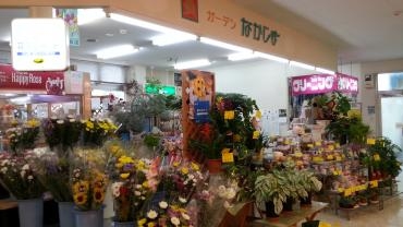 2月に店舗をリニューアルしました♪|「ガーデンなかじま」　（岩手県一関市の花屋）のブログ